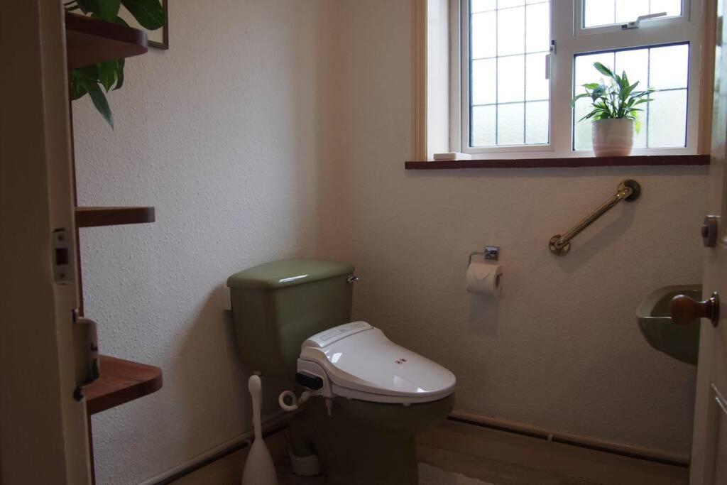 Hectors House Comfortable 4 Bed House In Mature Gardens Yelverton Ngoại thất bức ảnh
