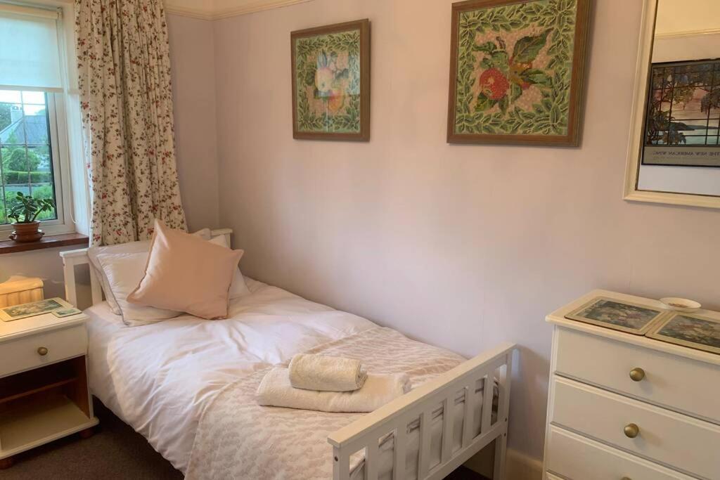 Hectors House Comfortable 4 Bed House In Mature Gardens Yelverton Ngoại thất bức ảnh